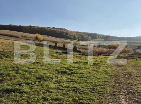 Teren de vânzare Bardesti - 162715TV | BLITZ Târgu Mureș | Poza1