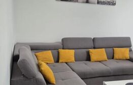 Apartament superb, cu 2 camere, ansamblul Maurer