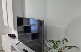 Apartament superb, cu 2 camere, ansamblul Maurer