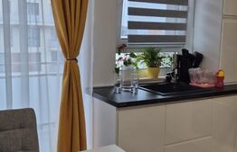 Apartament superb, cu 2 camere, ansamblul Maurer
