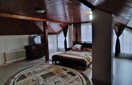 Casa superba 7 camere, 341 mp, zona Dambu