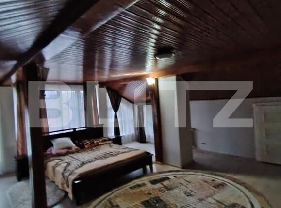 Casa de vânzare 7 camere Dambu Pietros - 162943CV | BLITZ Târgu Mureș | Poza13