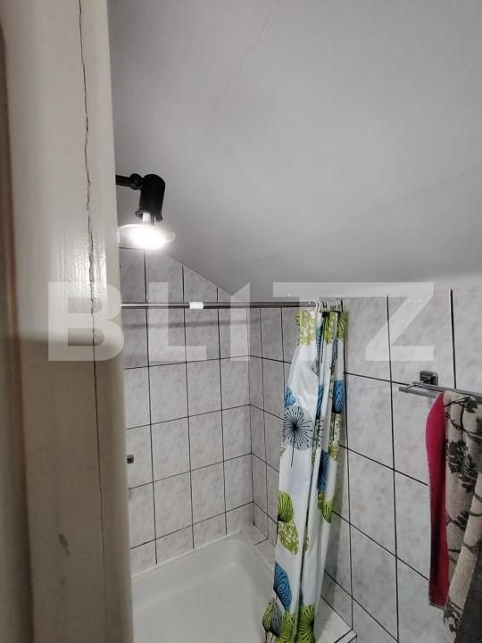 Casa de vânzare 7 camere Dambu Pietros - 162943CV | BLITZ Târgu Mureș | Poza15