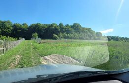 Teren de vanzare 8 ari in Livezeni