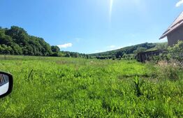 Teren de vanzare 8 ari in Livezeni