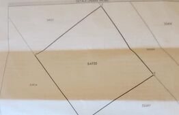 Teren de vanzare 8 ari in Livezeni