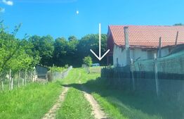 Teren de vanzare 8 ari in Livezeni