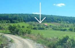 Teren de vanzare 8 ari in Livezeni