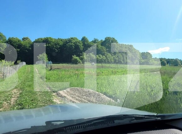 Teren de vânzare Livezeni - 163143TV | BLITZ Târgu Mureș | Poza5