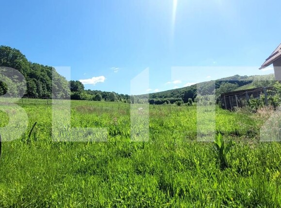 Teren de vânzare Livezeni - 163143TV | BLITZ Târgu Mureș | Poza4