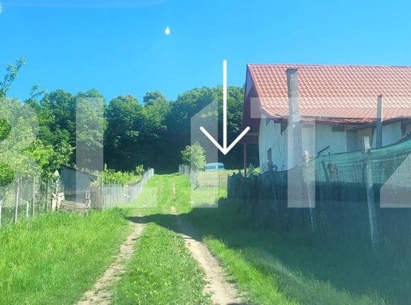 Teren de vânzare Livezeni - 163143TV | BLITZ Târgu Mureș | Poza1