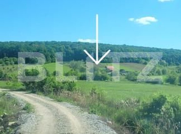 Teren de vânzare Livezeni - 163143TV | BLITZ Târgu Mureș | Poza3