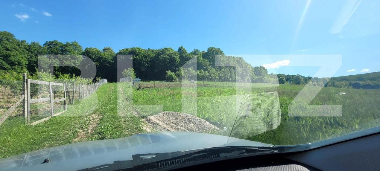 Teren de vânzare Livezeni - 163143TV | BLITZ Târgu Mureș | Poza5