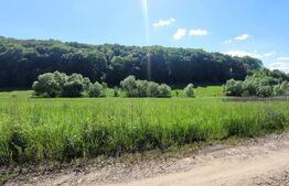 Teren in Livezeni, oportunitate 