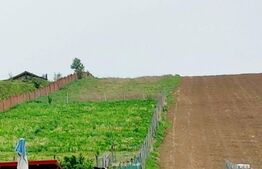 Teren de vanzare la intrarea in Sanisor