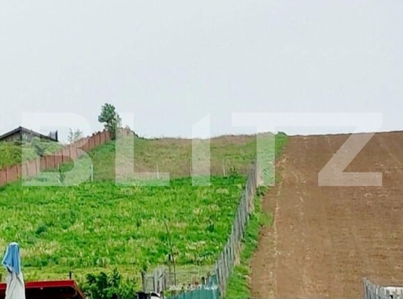 Teren de vânzare Livezeni - 163145TV | BLITZ Târgu Mureș | Poza1