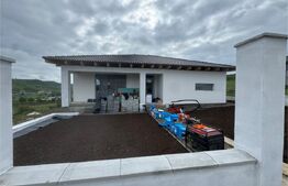 Livezeni - Casa 4 Camere 134 mp utili, Teren 1.000 MP