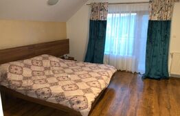 Promotia saptamanii!  Vila superba cu 4 dormitoare de vanzare in Livezeni