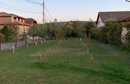 Promotia saptamanii!  Vila superba cu 4 dormitoare de vanzare in Livezeni