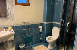 Promotia saptamanii!  Vila superba cu 4 dormitoare de vanzare in Livezeni