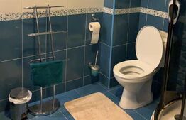 Promotia saptamanii!  Vila superba cu 4 dormitoare de vanzare in Livezeni