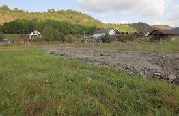 Teren Livezeni 8 ari