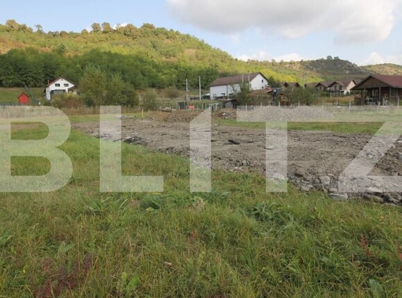 Teren de vânzare Livezeni - 163148TV | BLITZ Târgu Mureș | Poza2