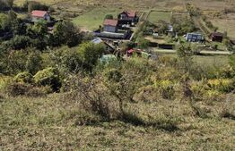 Parcela 12000 mp teren intravilan de vanzare in Livezeni