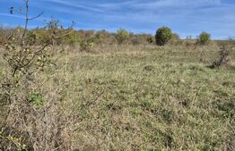 Parcela 12000 mp teren intravilan de vanzare in Livezeni