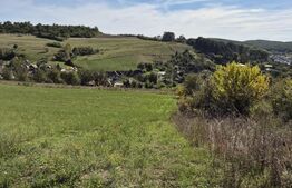 Parcela 12000 mp teren intravilan de vanzare in Livezeni