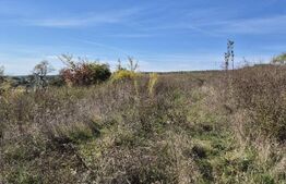 Parcela 12000 mp teren intravilan de vanzare in Livezeni
