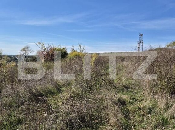 Teren de vânzare Livezeni - 163150TV | BLITZ Târgu Mureș | Poza2