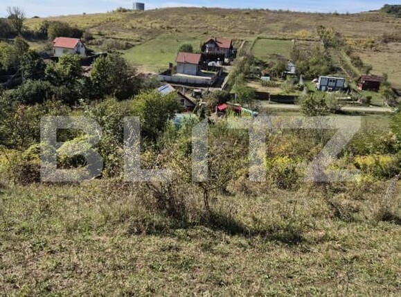 Teren de vânzare Livezeni - 163150TV | BLITZ Târgu Mureș | Poza4