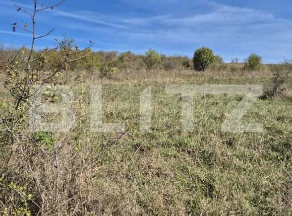 Teren de vânzare Livezeni - 163150TV | BLITZ Târgu Mureș | Poza5