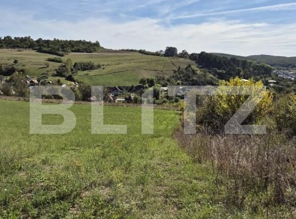 Teren de vânzare Livezeni - 163150TV | BLITZ Târgu Mureș | Poza1
