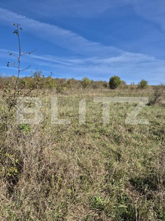 Teren de vânzare Livezeni - 163150TV | BLITZ Târgu Mureș | Poza5