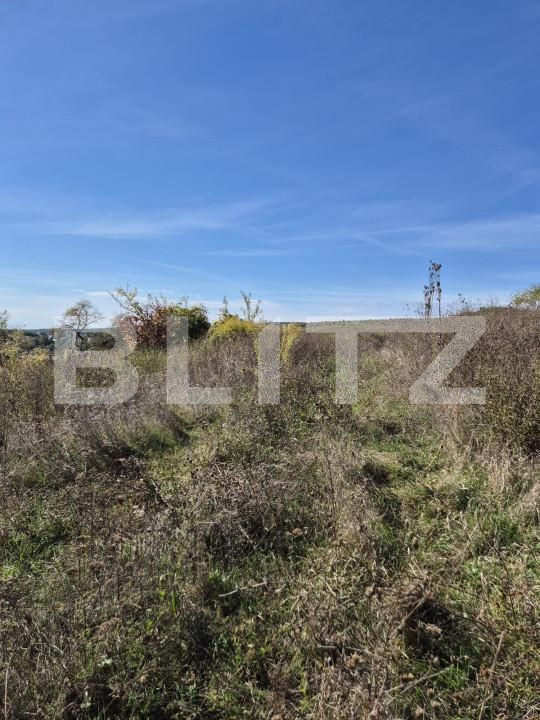 Teren de vânzare Livezeni - 163150TV | BLITZ Târgu Mureș | Poza2