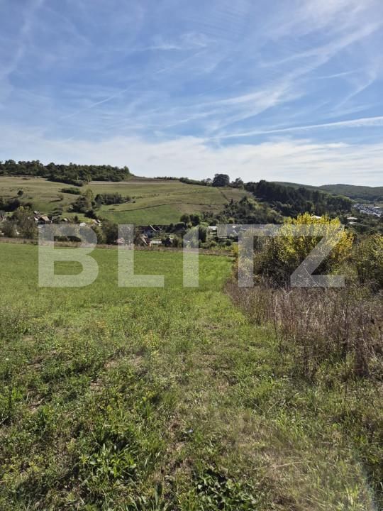 Teren de vânzare Livezeni - 163150TV | BLITZ Târgu Mureș | Poza1