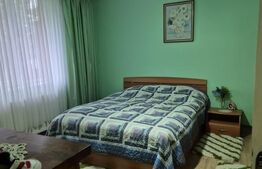 Casa spatioasa cu 5 dormitoare de vanzare in Chetani