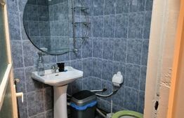 Casa spatioasa cu 5 dormitoare de vanzare in Chetani