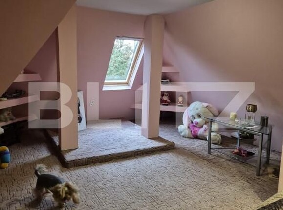 Casa de vânzare 11 camere Chetani - 163251CV | BLITZ Târgu Mureș | Poza21