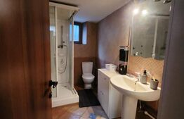 Ocazie Unica! Casa 5 camere, 180 mp, ultracentral