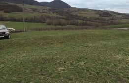 Teren extravilan 28 arii, Eremitu, la intrarea spre Câmpu Cetății