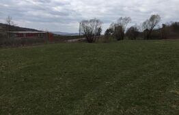 Teren extravilan 28 arii, Eremitu, la intrarea spre Câmpu Cetății