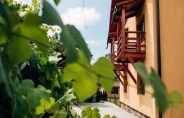 Spațiu comercial de vânzare Gara Mare - 159598SVC | BLITZ Târgu Mureș | Poza1