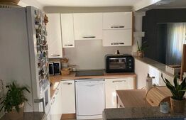 Pensiune cu 20 de canere, 700 mp, zona Praid