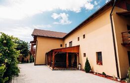 Pensiune cu 20 de canere, 700 mp, zona Praid