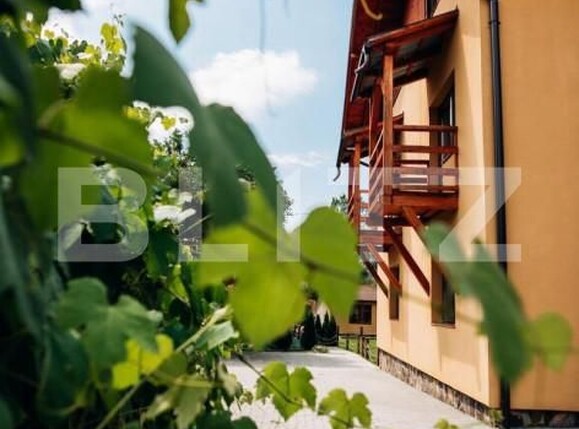 Spațiu comercial de vânzare Sovata - 163462SVC | BLITZ Târgu Mureș | Poza1