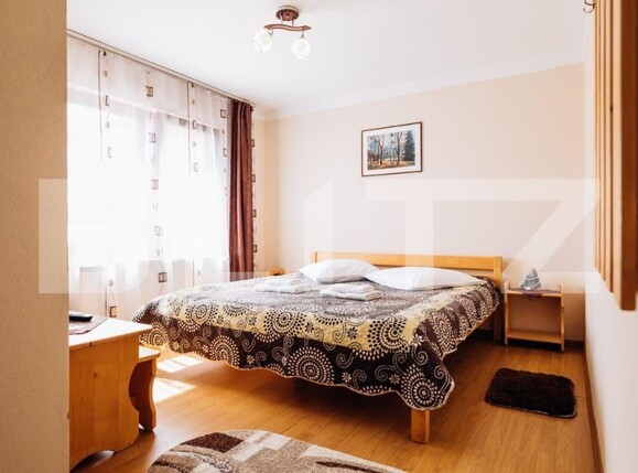 Spațiu comercial de vânzare Sovata - 163462SVC | BLITZ Târgu Mureș | Poza12