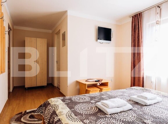 Spațiu comercial de vânzare Sovata - 163462SVC | BLITZ Târgu Mureș | Poza14